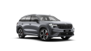 Škoda Kodiaq 2.0 TSI 195 kW 7-stup. automat. 4x4 RS na operativní leasing