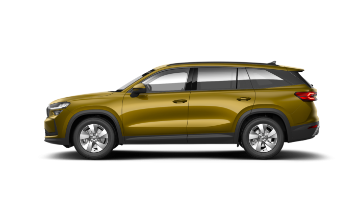 Škoda Kodiaq 1.5 TSI 110 kW MHEV 7-stup. automat. Selection na operativní leasing